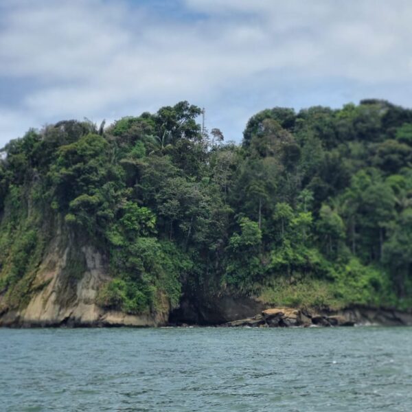 Tour ballenas pacifico colombiano