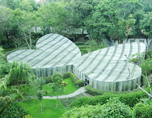 Tour Jardín Botánico, Mariposario y Calarcá