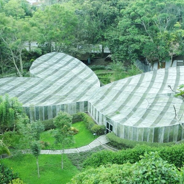 Tour Jardín Botánico, Mariposario y Calarcá