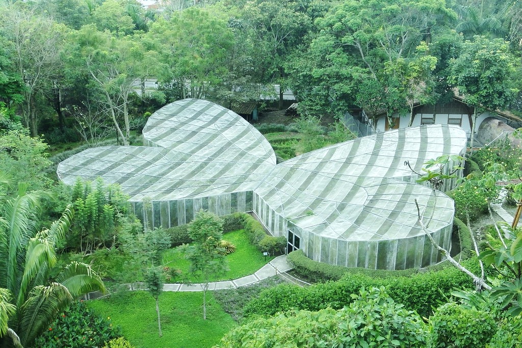 Tour Jardín Botánico, Mariposario y Calarcá