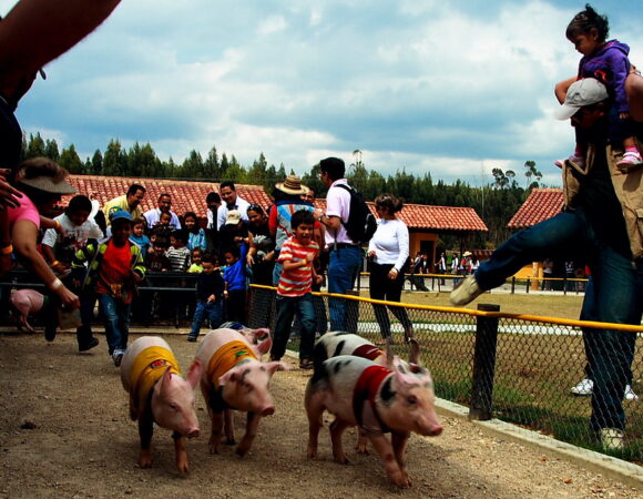 Tour a Panaca