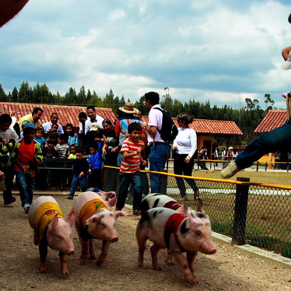 Tour a Panaca