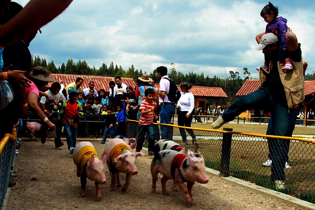 Tour a Panaca