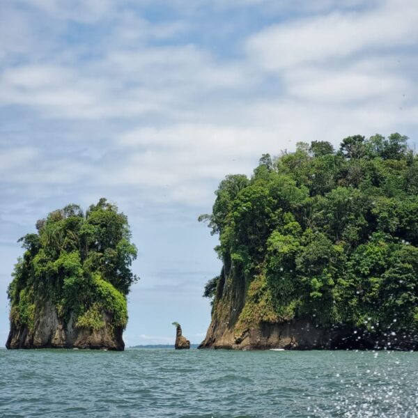 Tour ballenas pacifico colombiano