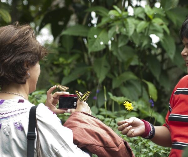 Mariposario calarca