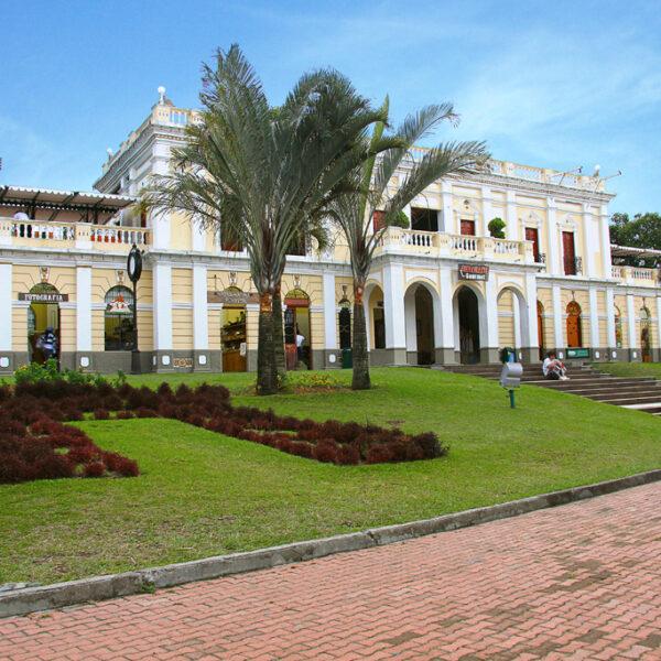 Tour parque del cafe